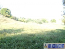 teren-extravilan-14-ha-cocenesti-rizeasca-matau-mioarele-arges-ideal-pentru-agricultura-12