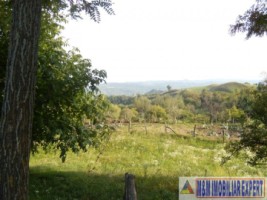 teren-extravilan-14-ha-cocenesti-rizeasca-matau-mioarele-arges-ideal-pentru-agricultura-13