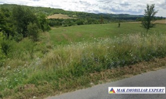 teren-extravilan-15-ha-draghici-mihaesti-arges-ideal-pentru-agricultura