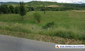 teren-extravilan-15-ha-draghici-mihaesti-arges-ideal-pentru-agricultura-2