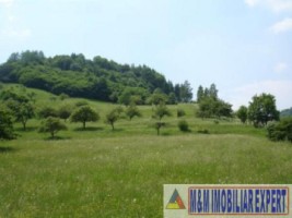 teren-intraextravilan-2500-mp-musatesti-arges-ideal-pentru-constructii-si-agricultura