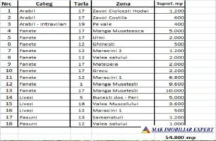 arendez-teren-55-ha-intraextravilan-musatesti-arges-ideal-pentru-agricultura-si-constructii-1