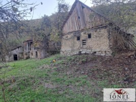 vanzare-casa-cu-17399-mp-teren-in-vintu-de-jos-valea-vintului-4