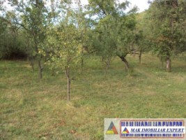 teren-intravilan-2410-mp-poienarii-de-muscel-arges-ideal-constructii-rezidentiale-3