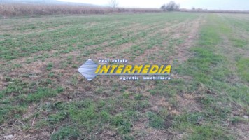 teren-intravilan-5000-mp-deschidere-28-m-zona-soseaua-de-centura-alba-iulia