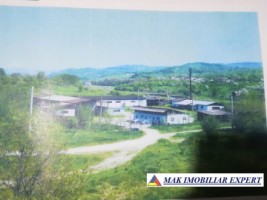 firma-cu-5-hale-1405-mp-si-teren-de-6240-mp-schitu-golesti-arges