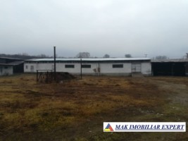firma-cu-5-hale-1405-mp-si-teren-de-6240-mp-schitu-golesti-arges-3
