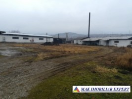firma-cu-5-hale-1405-mp-si-teren-de-6240-mp-schitu-golesti-arges-4