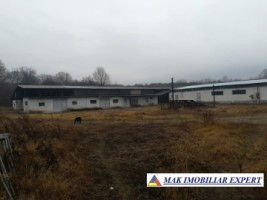 firma-cu-5-hale-1405-mp-si-teren-de-6240-mp-schitu-golesti-arges-2