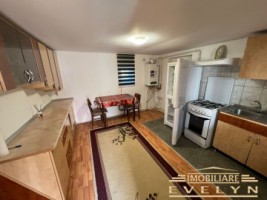 de-inchiriat-casa-cu-3-camere-zona-tudor-vladimirescu-scoala-nr8-pret-300-euro-1