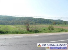 teren-intravilan-de-1-ha-in-titesti-arges-ideal-pentru-dezvoltare-rezidentiala-sau-comerciala-1