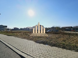 teren-intravilan-de-vanzare-barabant-1