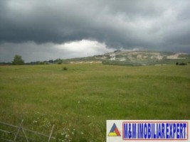 teren-extravilan-de-6280-mp-cu-deschidere-de-42-m-la-sosea-ideal-pentru-constructii-comerciale-sau-industriale-situat-in-valea-mare-pravat-arges