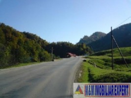 teren-extravilan-de-6280-mp-cu-deschidere-de-42-m-la-sosea-ideal-pentru-constructii-comerciale-sau-industriale-situat-in-valea-mare-pravat-arges-7