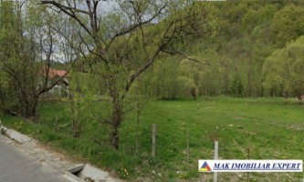 teren-intravilan-de-1500-mp-cu-deschidere-de-33-m-ideal-pentru-casa-de-vacanta-situat-in-rucar-zona-satic-arges