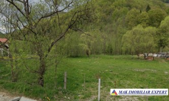 teren-intravilan-de-1500-mp-cu-deschidere-de-33-m-ideal-pentru-casa-de-vacanta-situat-in-rucar-zona-satic-arges-1