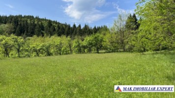 teren-intravilan-2600-mp-in-vladesti-arges-ideal-pentru-constructii-rezidentiale