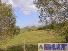 teren-de-vanzare-7800-mp-extravilan-in-cretisoara-campulung-muscel-arges-ideal-pentru-agricultura-si-investitie-2