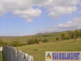 teren-de-vanzare-7800-mp-extravilan-in-cretisoara-campulung-muscel-arges-ideal-pentru-agricultura-si-investitie-3