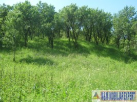 teren-livada-extravilan-de-vanzare-147-ha-in-calea-romanestilor-campulung-muscel-arges-ideal-pentru-agricultura