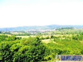 teren-livada-extravilan-de-vanzare-147-ha-in-calea-romanestilor-campulung-muscel-arges-ideal-pentru-agricultura-9