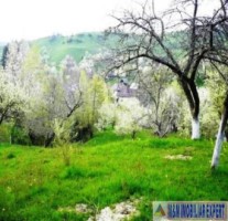 teren-livada-extravilan-de-vanzare-147-ha-in-calea-romanestilor-campulung-muscel-arges-ideal-pentru-agricultura-8