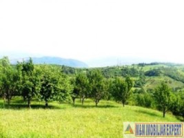 teren-livada-extravilan-de-vanzare-147-ha-in-calea-romanestilor-campulung-muscel-arges-ideal-pentru-agricultura-10