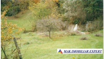 teren-intravilan-de-vanzare-2764-mp-in-apa-sarata-campulung-muscel-arges-ideal-pentru-constructii-rezidentiale-sau-de-vacanta