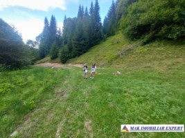 vand-teren-extravilan-4350-mp-rucar-valea-cheii-coltii-ghimbavului-ideal-pentru-proiect-turistic-sau-agrement-5