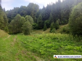 vand-teren-extravilan-4350-mp-rucar-valea-cheii-coltii-ghimbavului-ideal-pentru-proiect-turistic-sau-agrement-2