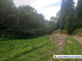 vand-teren-extravilan-4350-mp-rucar-valea-cheii-coltii-ghimbavului-ideal-pentru-proiect-turistic-sau-agrement-4