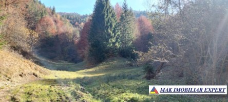 vand-teren-extravilan-4350-mp-rucar-valea-cheii-coltii-ghimbavului-ideal-pentru-proiect-turistic-sau-agrement-6