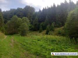 vand-teren-extravilan-4350-mp-rucar-valea-cheii-coltii-ghimbavului-ideal-pentru-proiect-turistic-sau-agrement-7