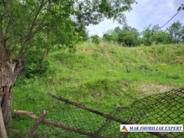 urgent-teren-intravilan-de-vanzare-214551-mp-central-in-bughea-de-jos-arges-6
