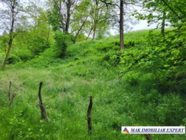 urgent-teren-intravilan-de-vanzare-214551-mp-central-in-bughea-de-jos-arges-7