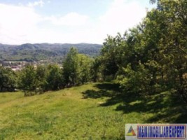 teren-3200-mp-de-vanzare-intravilan-marcus-campulung-muscel-arges-ideal-pentru-constructii-2