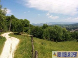 teren-3200-mp-de-vanzare-intravilan-marcus-campulung-muscel-arges-ideal-pentru-constructii-4