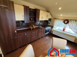 apartament-modern-de-inchiriat-in-sibiu-zona-parcul-sub-arini-15