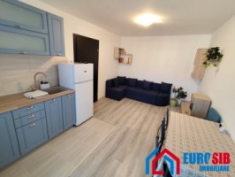 apartament-cu-2-camere-situat-in-sibiu-gusterita-14