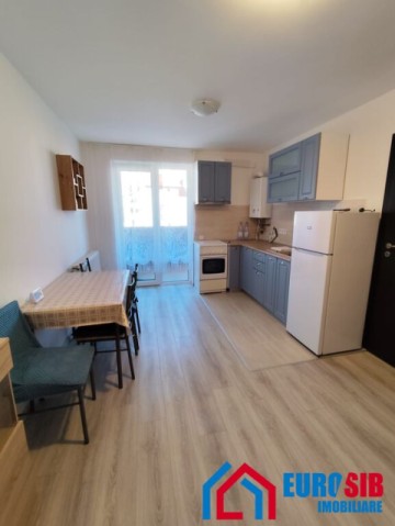 apartament-cu-2-camere-situat-in-sibiu-gusterita-13