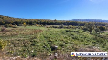 teren-7500-mp-intravilan-si-extravilan-de-vanzare-in-schitu-golesti-arges-ideal-pentru-constructii-rezidentiale-sau-agricultura