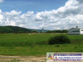 teren-7500-mp-intravilan-si-extravilan-de-vanzare-in-schitu-golesti-arges-ideal-pentru-constructii-rezidentiale-sau-agricultura-7