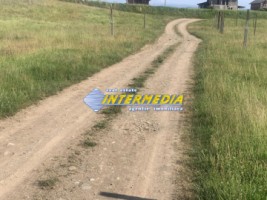 okazie-teren-intravilan-vanzare-468-mp-alba-zona-sesuri-prelungire-cartier-orizont-cu-puz-aprobat-p1-7