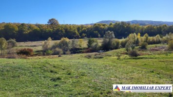 teren-intravilan-3400-mp-de-vanzare-in-grui-campulung-muscel-arges-ideal-pentru-constructie-rezidentiala-sau-investitie-1