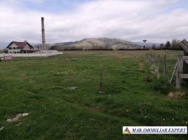 teren-intravilan-3400-mp-de-vanzare-in-grui-campulung-muscel-arges-ideal-pentru-constructie-rezidentiala-sau-investitie-4