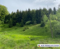 vand-teren-extravilan-4350-mp-rucar-valea-cheii-coltii-ghimbavului-ideal-pentru-proiect-turistic-sau-agrement