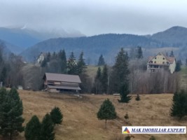 teren-5000-mp-intravilan-de-vanzare-in-valea-cheii-dambovicioara-arges