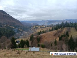 teren-5000-mp-intravilan-de-vanzare-in-valea-cheii-dambovicioara-arges-10