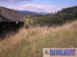 teren-5000-mp-intravilan-de-vanzare-in-valea-cheii-dambovicioara-arges-5