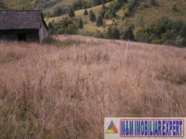 teren-5000-mp-intravilan-de-vanzare-in-valea-cheii-dambovicioara-arges-6